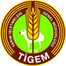 TIGEM