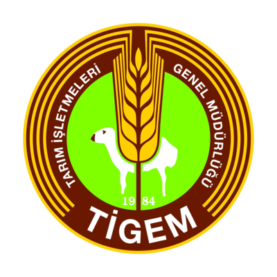 Tigem